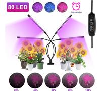 TolleTour Lampe pour plantes Lampe pour plantes LED Grow Light 40 W - minuterie automatique 3-6-12 heures