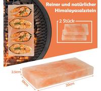 TolleTour Pierre à sel repas Yakiniku Pierre à griller Carreaux de haute qualité pour barbecue 20x10x2,5cm BBQ 2X