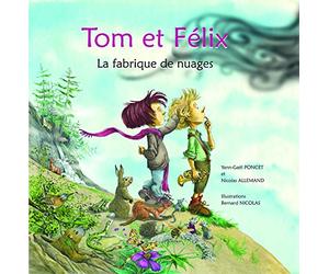 Tom et Félix: La fabrique de nuages