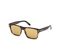 TOM FORD Homme FT1205 CALDER 56E Lunettes de soleil Acétate Havane Marron Carré Normale