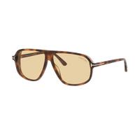 Tom Ford Homme Sunglass Guillaume_Tr - Couleur du Monture: Écaille de tortue Or, Couleur de Lentille: Brun
