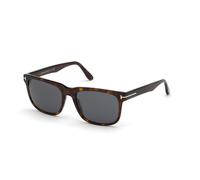 TOM FORD Homme TOM FORD FT0775 STEPHENSON 52A Lunettes de soleil Acétate Havane sombre Fumée Carré Normale