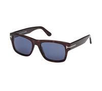 Tom Ford - Smith-02 Lunettes de soleil - unisex - Accessoires - Brun - Taille: 55 MM