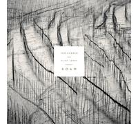 Tom Hobden Et Eliot James - Présentez Roam Vinyl