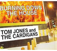 Jones, Tom & The Cardigans - Burning Down The House [Import]
