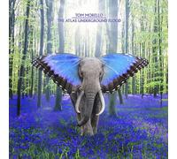 Tom Morello - The Atlas Underground Flood [Cd] With Booklet