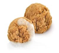 tom&pat® Éponge bébé bain • éponge naturelle 100% mer Méditerranée • pour nouveau-nés • Dermatest excellent • douce • qualité premium Grèce (2 x 7-10 cm)