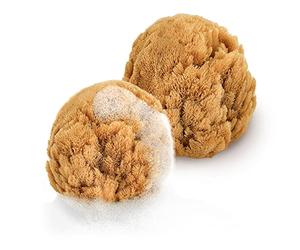 tom&pat® Éponge bébé bain • éponge naturelle 100% mer Méditerranée • pour nouveau-nés • Dermatest excellent • douce • qualité premium Grèce (2 x 7-10 cm)