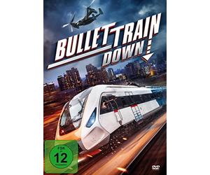 Tom Sizemore;Rashod Freelove;Ryan Youngwoong Kim;X - Bullet Train Down