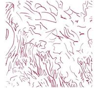 Tom Skinner - Voices Of Bishara [Compact Discs]