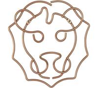 Tomado-Metaltex Tomado Metaltex Safari Lion Porte-manteau