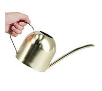Tomantery Arrosoir Vintage en Acier Inoxydable de 1000 ML pour Fleurs D'intérieur, Bouilloire D'arrosage, Or pour Jardiniers