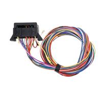 Tomantery Ensemble de Faisceaux de Câbles à 12 Circuits, Panneau de Fusibles Résistant à la Chaleur, Kit Complet pour Tiges de Rat et Voitures Classiques