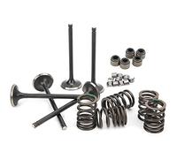 Tomantery Kit de Soupape D'échappement D'admission de Culasse économique pour GRIZZLY 660 YFM660F 4WD 2002-2008, Ensemble Complet de Reconstruction de Soupape pour les Amateurs de VTT