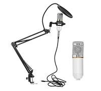 Tomantery Kit Microphone à Condensateur USB Professionnel avec Bras Flexible BM800 pour Enregistrement sur PC - Corps en Tube Noir + Tête en Argentée (Blanc + Argent)