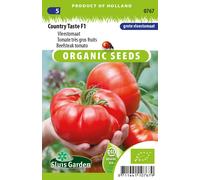 Tomate à très gros fruits, Country Taste F1 - Graines- Env. 7 graines | SG0767