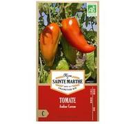 Tomate Andine Cornue bio - Graines à semer Rouge G