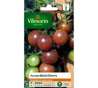 Tomate Black Cherry