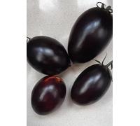 Tomate Black Plum Graines de prune noire - 20 graines sélectionnées à haute germinabilité - Culture en Italie - Production 2025