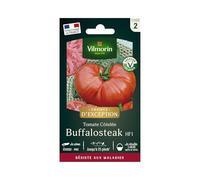 Tomate Buffalo Steak HF1