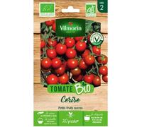Tomate cerise bio Vilmorin