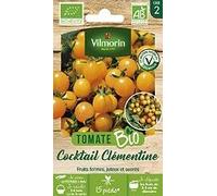 Tomate cerise orange clémentine bio Vilmorin