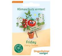 Tomate climatique Friday 'Philamina' | Graines de tomatesde Bingenheimer Saatgut