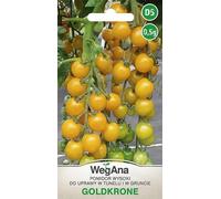 Tomate Couronne D'or Graines De Tomate Jaune 0,5g,Variété Cocktail,Graines De Légumes Robustes,Graines De Légumes,Graines De Culture,Graines Pour La Serre