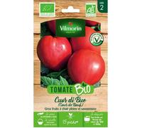 Tomate cuor di bue bio Vilmorin
