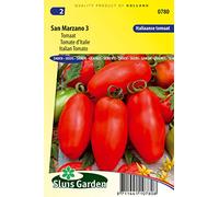 Tomate d'Italie San Marzano 3 - Légumes ou plantes à fruit