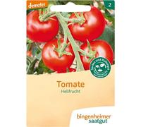 Tomate fruit clair