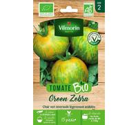 Tomate green zébra bio Vilmorin