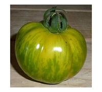 Tomate Green Zebra - Tomate Green Zebra - 10 graines