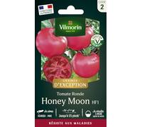 Tomate Honey Moon HF1 - Vilmorin - Potagères