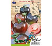 Tomate Indigo Rose - Légumes ou plantes à fruit