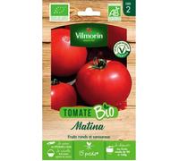 Tomate Matina - BIO