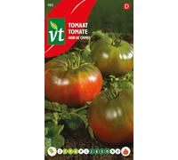 Tomate Noir de Crimée Graines - Beaux fruits rouge pourpre foncé à maturité