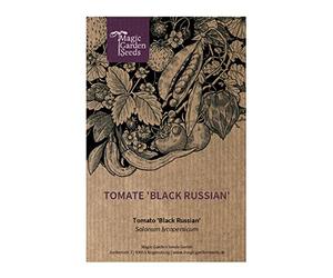 Tomate noire 'Black Russian' (Solanum lycopersicum) env. 10 semences