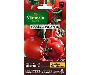 Tomate Pépite HF1