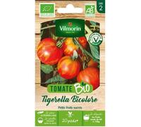 Vilmorin - Tomate Tigerella Bicolore Bio