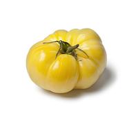 Tomate"White Beauty" - champ, variété blanche - graines