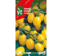 Tomate Yellow Graines - Mini-tomates jaunes en forme de poire