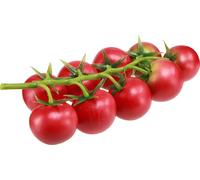Tomates artificielles en grappe Ø3,5cm Fruits décoratifs méditerranéens