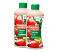 Tomates Manna Plantiful,