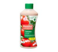 Tomates Manna Plantiful,