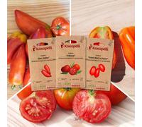 Tomates pour coulis - 3 sachets bio
