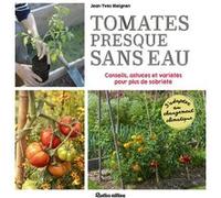 Tomates presque sans eau Jean-Yves Meignen (Auteur)