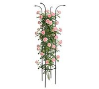 Tomato Trellis Set, Vertical Rustproof Stable Frame, Umbrella Trellis Tower, Garden Plant Climbing Structure with Metal Design, for Vine Rose Clematis Vegetable Dragon Cucumber Hydrangeas Jasmine