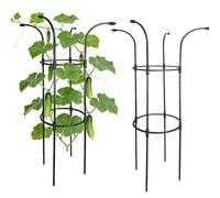 Tomato Trellis Set, Vertical Rustproof Stable Frame, Umbrella Trellis Tower, Garden Plant Climbing Structure with Metal Design, for Vine Rose Clematis Vegetable Dragon Cucumber Hydrangeas Jasmine