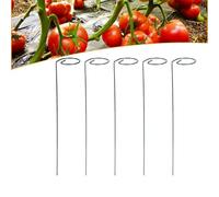 Tomato Twist Stake, Spiral Plant Support, Tomato Spiral Stakes, Plant Supports, Limbing Plant Stake Tower Plant Supports (A-6PCS)